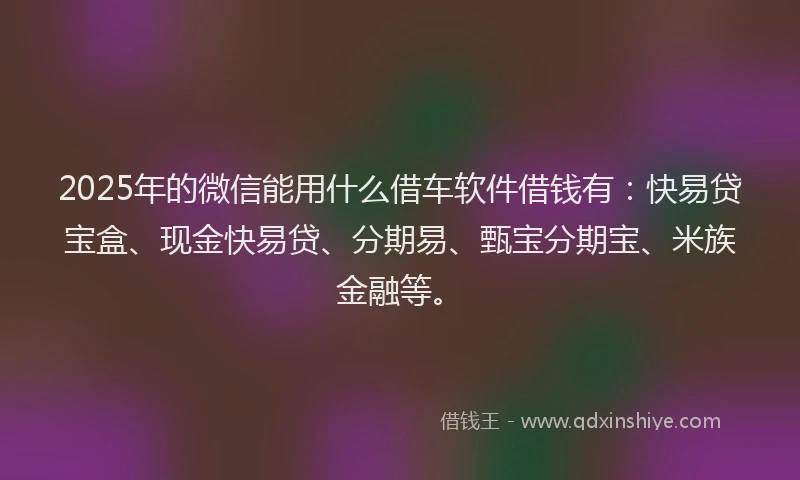 2025年的微信能用什么借车软件借钱有：快易贷宝盒、现金快易贷、分期易、甄宝分期宝、米族金融等。