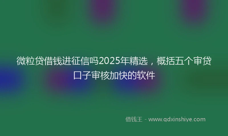 微粒贷借钱进征信吗2025年精选，概括五个审贷口子审核加快的软件