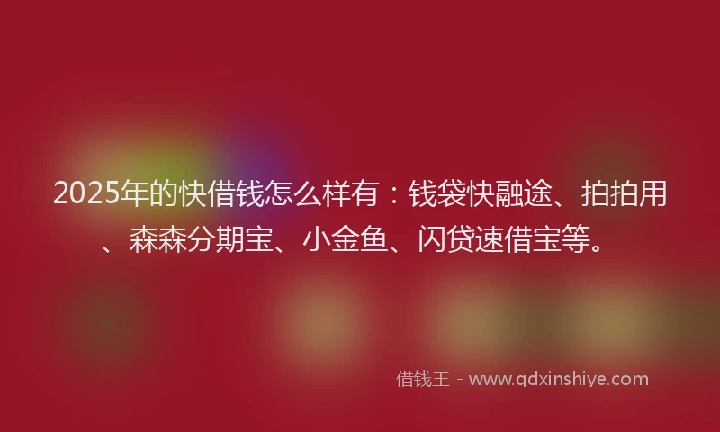 2025年的快借钱怎么样有：钱袋快融途、拍拍用、森森分期宝、小金鱼、闪贷速借宝等。