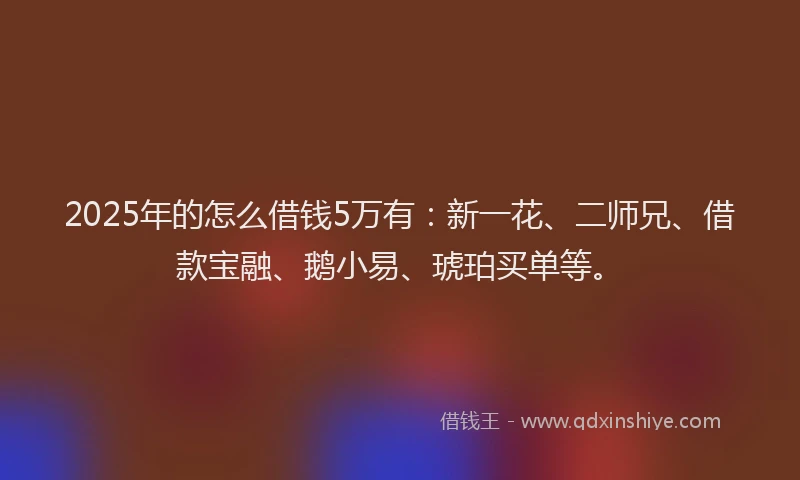 2025年的怎么借钱5万有：新一花、二师兄、借款宝融、鹅小易、琥珀买单等。