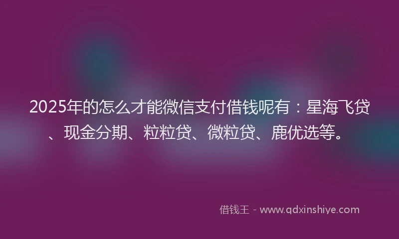 2025年的怎么才能微信支付借钱呢有：星海飞贷、现金分期、粒粒贷、微粒贷、鹿优选等。