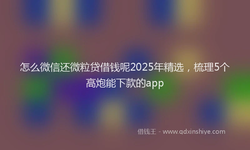 怎么微信还微粒贷借钱呢2025年精选，梳理5个高炮能下款的app