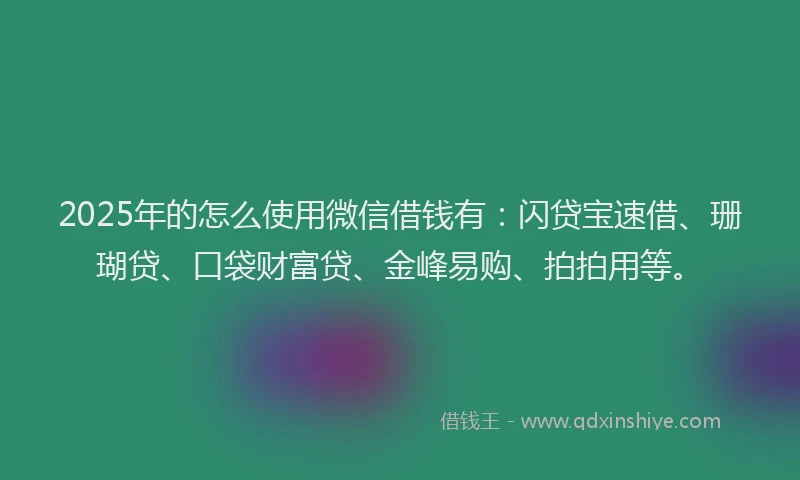 2025年的怎么使用微信借钱有：闪贷宝速借、珊瑚贷、口袋财富贷、金峰易购、拍拍用等。