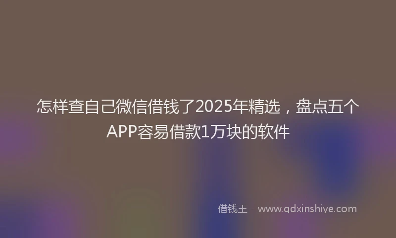 怎样查自己微信借钱了2025年精选，盘点五个APP容易借款1万块的软件