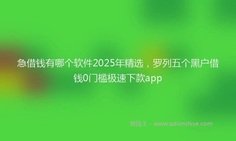 急借钱有哪个软件2025年精选，罗列五个黑户借钱0门槛极速下款app