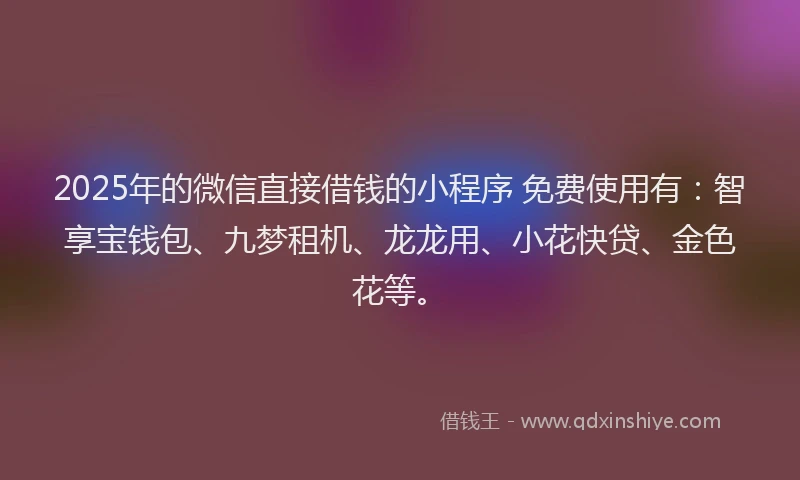 2025年的微信直接借钱的小程序 免费使用有：智享宝钱包、九梦租机、龙龙用、小花快贷、金色花等。