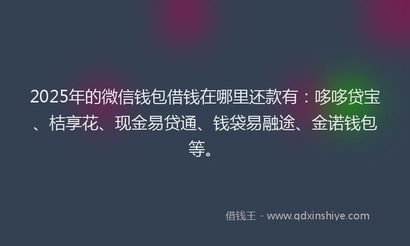 2025年的微信钱包借钱在哪里还款有：哆哆贷宝、桔享花、现金易贷通、钱袋易融途、金诺钱包等。