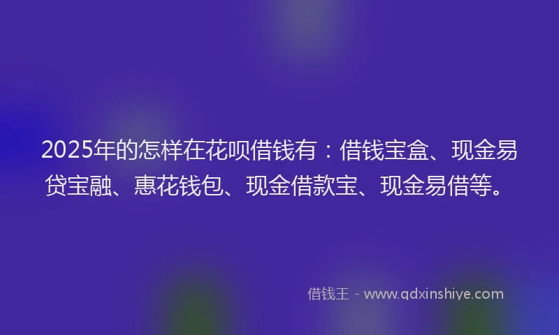 2025年的怎样在花呗借钱有：借钱宝盒、现金易贷宝融、惠花钱包、现金借款宝、现金易借等。