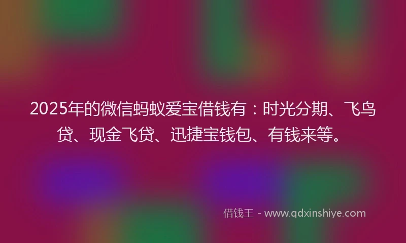 2025年的微信蚂蚁爱宝借钱有：时光分期、飞鸟贷、现金飞贷、迅捷宝钱包、有钱来等。