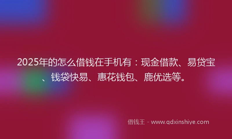 2025年的怎么借钱在手机有：现金借款、易贷宝、钱袋快易、惠花钱包、鹿优选等。