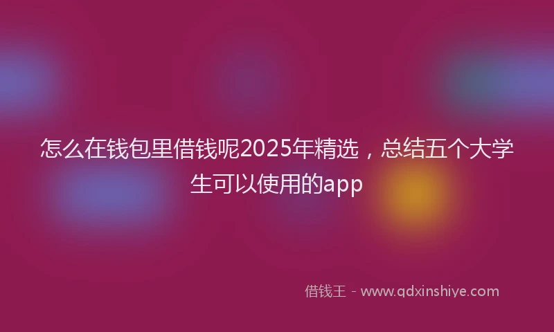 怎么在钱包里借钱呢2025年精选，总结五个大学生可以使用的app