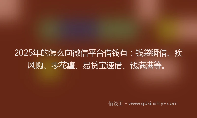2025年的怎么向微信平台借钱有：钱袋瞬借、疾风购、零花罐、易贷宝速借、钱满满等。