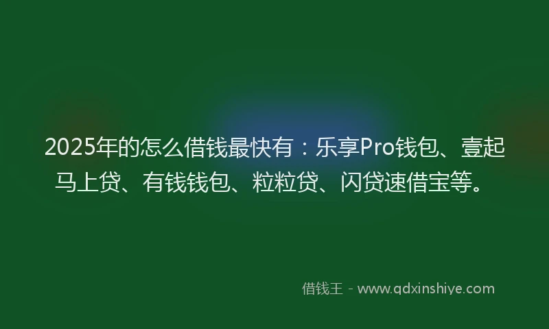 2025年的怎么借钱最快有：乐享Pro钱包、壹起马上贷、有钱钱包、粒粒贷、闪贷速借宝等。