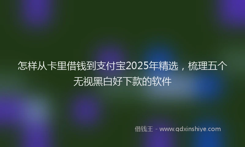怎样从卡里借钱到支付宝2025年精选，梳理五个无视黑白好下款的软件