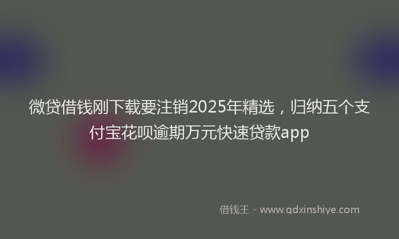 微贷借钱刚下载要注销2025年精选，归纳五个支付宝花呗逾期万元快速贷款app