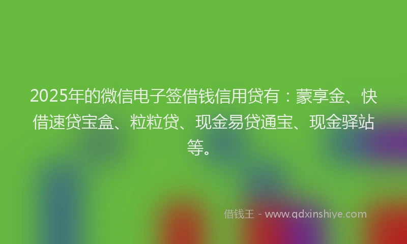 2025年的微信电子签借钱信用贷有：蒙享金、快借速贷宝盒、粒粒贷、现金易贷通宝、现金驿站等。