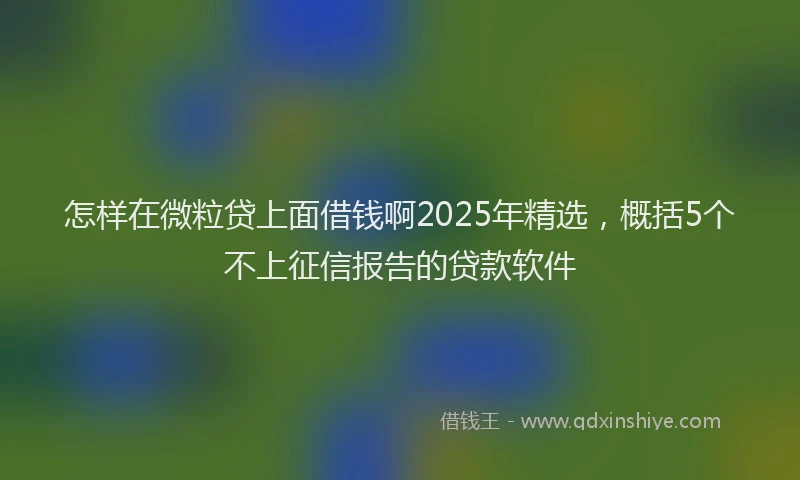 怎样在微粒贷上面借钱啊2025年精选，概括5个不上征信报告的贷款软件