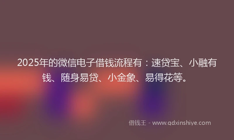 2025年的微信电子借钱流程有：速贷宝、小融有钱、随身易贷、小金象、易得花等。