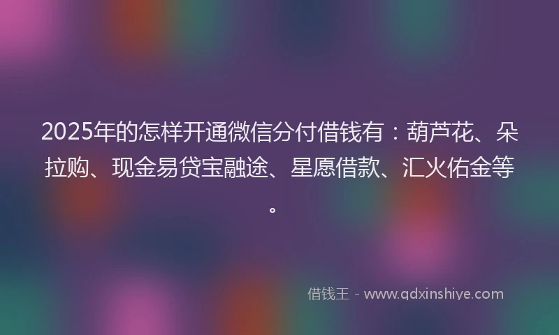 2025年的怎样开通微信分付借钱有：葫芦花、朵拉购、现金易贷宝融途、星愿借款、汇火佑金等。