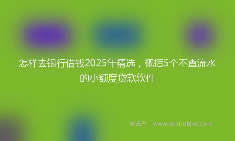 怎样去银行借钱2025年精选，概括5个不查流水的小额度贷款软件