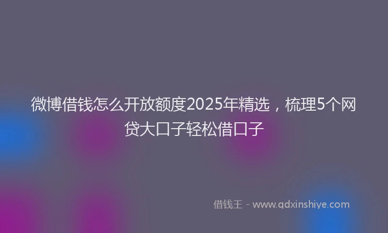 微博借钱怎么开放额度2025年精选，梳理5个网贷大口子轻松借口子
