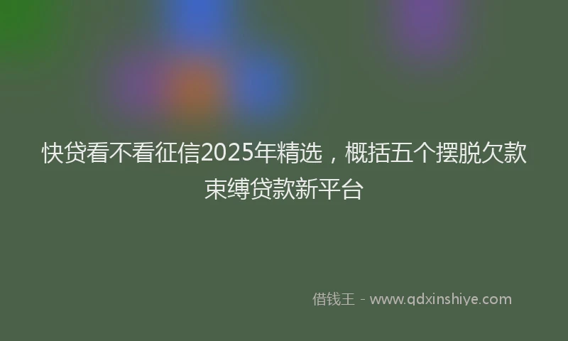 快贷看不看征信2025年精选，概括五个摆脱欠款束缚贷款新平台