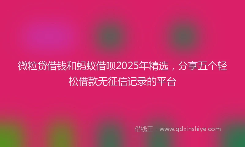 微粒贷借钱和蚂蚁借呗2025年精选，分享五个轻松借款无征信记录的平台