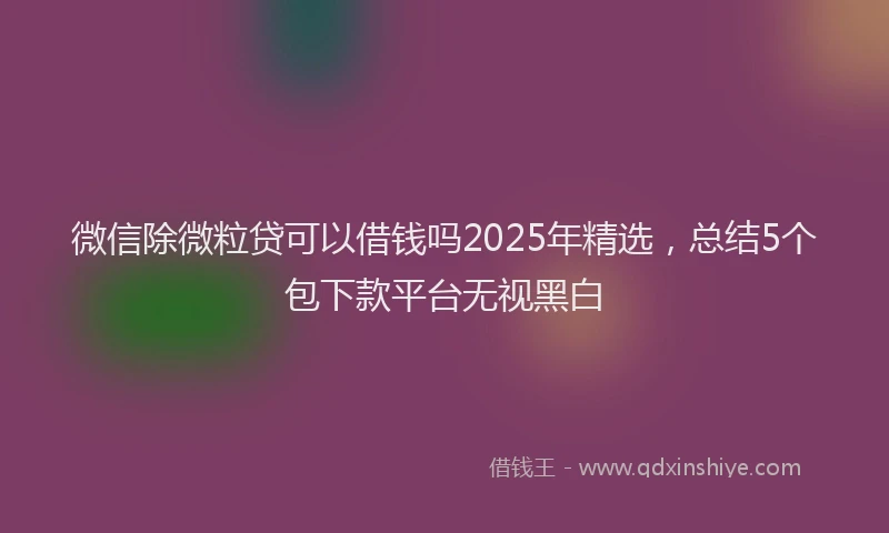 微信除微粒贷可以借钱吗2025年精选，总结5个包下款平台无视黑白