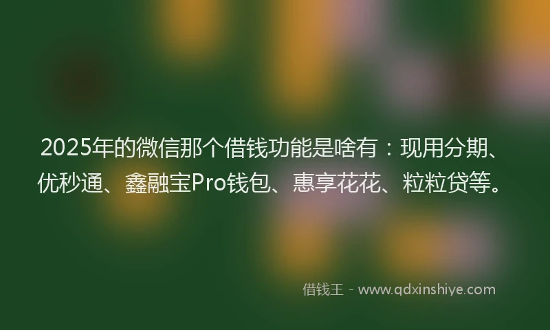 2025年的微信那个借钱功能是啥有：现用分期、优秒通、鑫融宝Pro钱包、惠享花花、粒粒贷等。