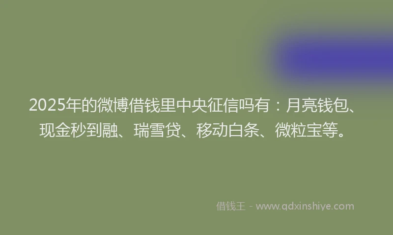2025年的微博借钱里中央征信吗有：月亮钱包、现金秒到融、瑞雪贷、移动白条、微粒宝等。