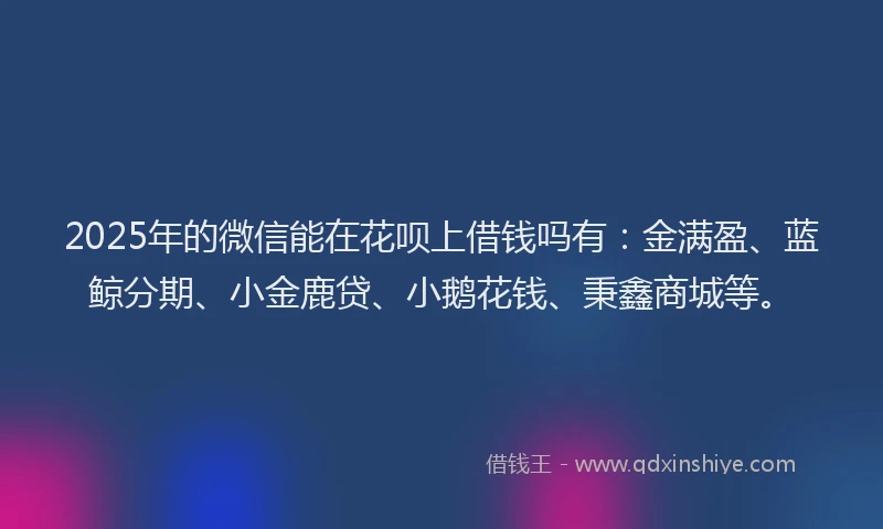 2025年的微信能在花呗上借钱吗有：金满盈、蓝鲸分期、小金鹿贷、小鹅花钱、秉鑫商城等。