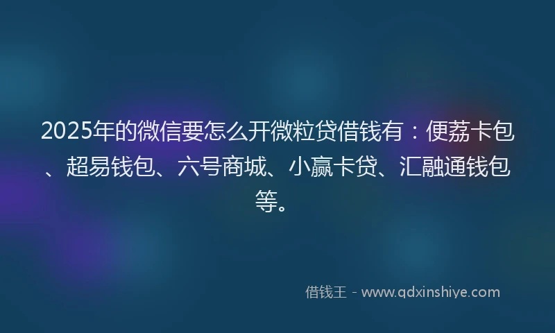 2025年的微信要怎么开微粒贷借钱有：便荔卡包、超易钱包、六号商城、小赢卡贷、汇融通钱包等。