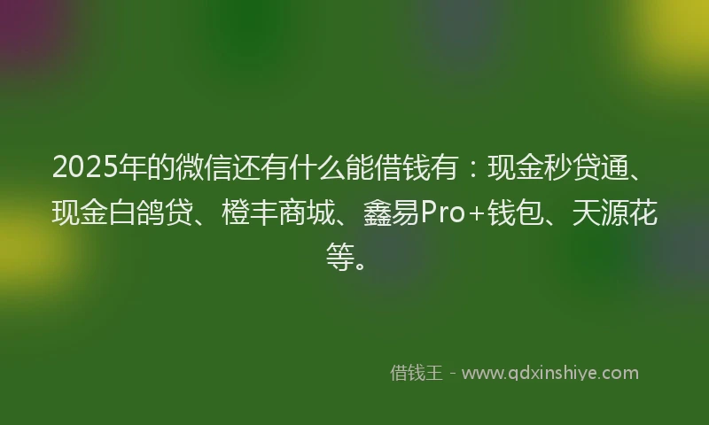 2025年的微信还有什么能借钱有：现金秒贷通、现金白鸽贷、橙丰商城、鑫易Pro+钱包、天源花等。