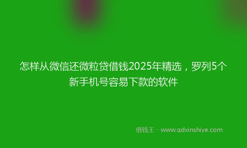 怎样从微信还微粒贷借钱2025年精选，罗列5个新手机号容易下款的软件