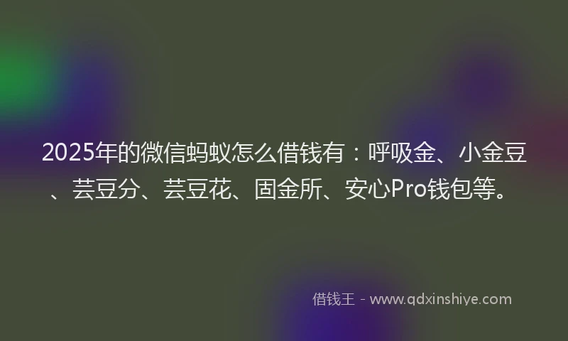 2025年的微信蚂蚁怎么借钱有：呼吸金、小金豆、芸豆分、芸豆花、固金所、安心Pro钱包等。