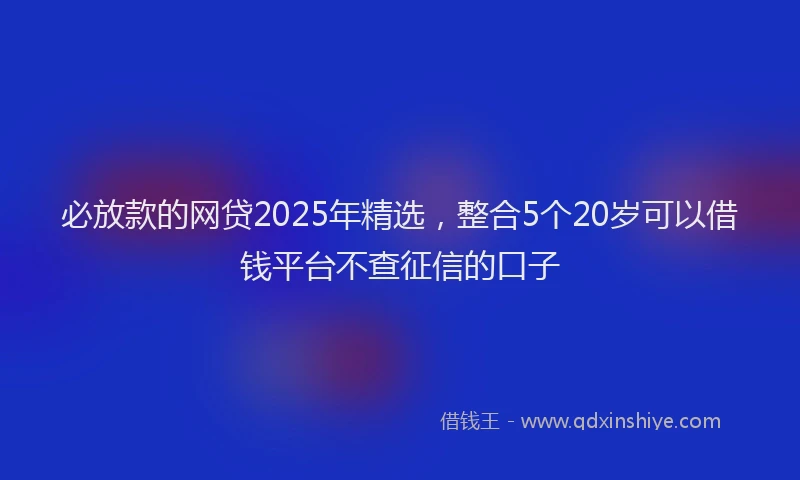必放款的网贷2025年精选，整合5个20岁可以借钱平台不查征信的口子