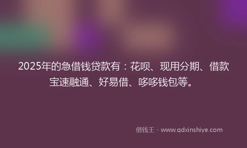 2025年的急借钱贷款有：花呗、现用分期、借款宝速融通、好易借、哆哆钱包等。