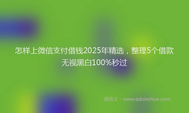 怎样上微信支付借钱2025年精选，整理5个借款无视黑白100%秒过