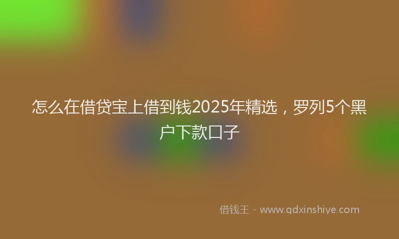怎么在借贷宝上借到钱2025年精选，罗列5个黑户下款口子