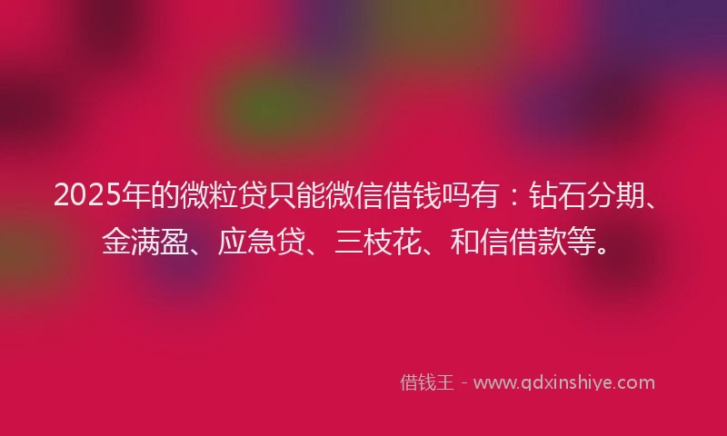 2025年的微粒贷只能微信借钱吗有：钻石分期、金满盈、应急贷、三枝花、和信借款等。