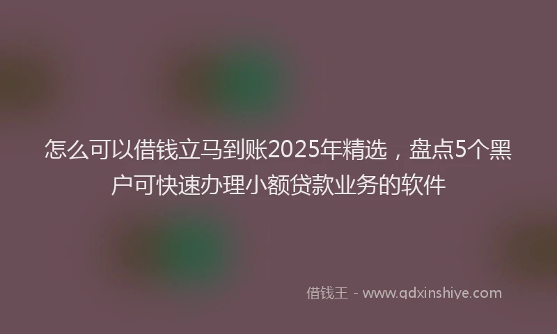 怎么可以借钱立马到账2025年精选，盘点5个黑户可快速办理小额贷款业务的软件
