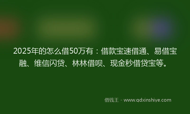 2025年的怎么借50万有：借款宝速借通、易借宝融、维信闪贷、林林借呗、现金秒借贷宝等。