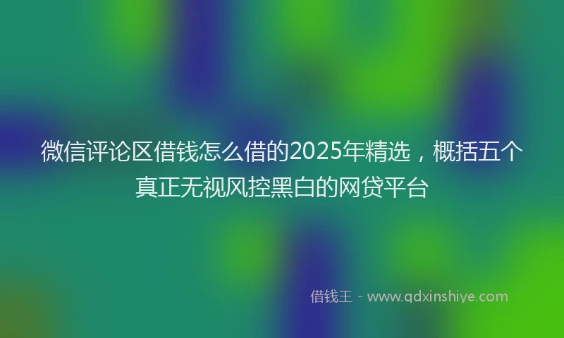 微信评论区借钱怎么借的2025年精选，概括五个真正无视风控黑白的网贷平台