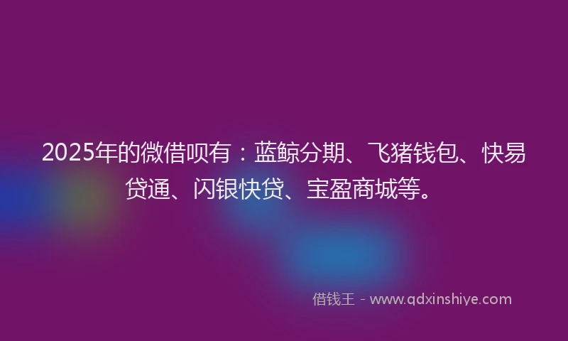 2025年的微借呗有：蓝鲸分期、飞猪钱包、快易贷通、闪银快贷、宝盈商城等。