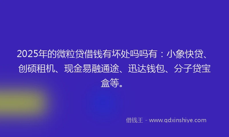 2025年的微粒贷借钱有坏处吗吗有：小象快贷、创硕租机、现金易融通途、迅达钱包、分子贷宝盒等。