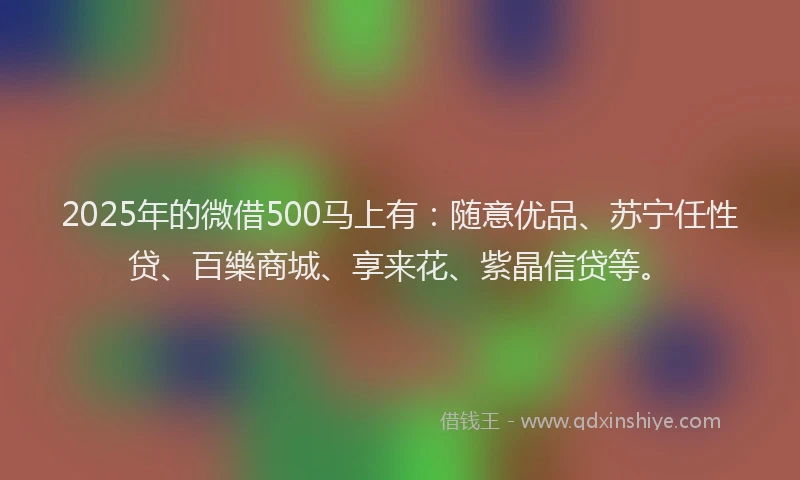 2025年的微借500马上有：随意优品、苏宁任性贷、百樂商城、享来花、紫晶信贷等。