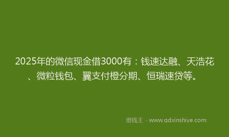 2025年的微信现金借3000有：钱速达融、天浩花、微粒钱包、翼支付橙分期、恒瑞速贷等。