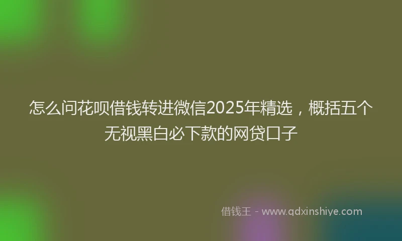 怎么问花呗借钱转进微信2025年精选，概括五个无视黑白必下款的网贷口子