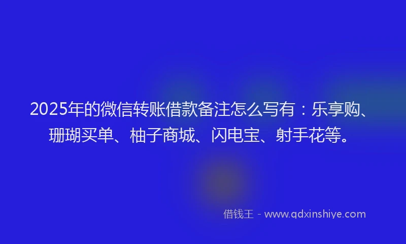 2025年的微信转账借款备注怎么写有：乐享购、珊瑚买单、柚子商城、闪电宝、射手花等。