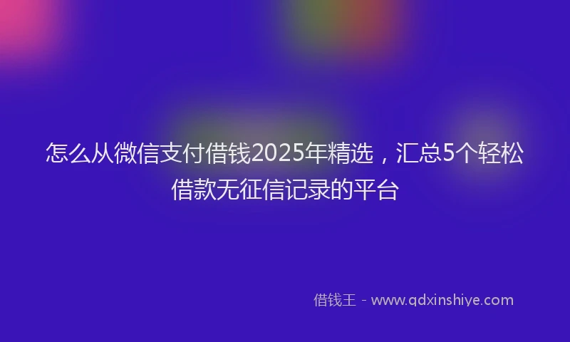 怎么从微信支付借钱2025年精选，汇总5个轻松借款无征信记录的平台